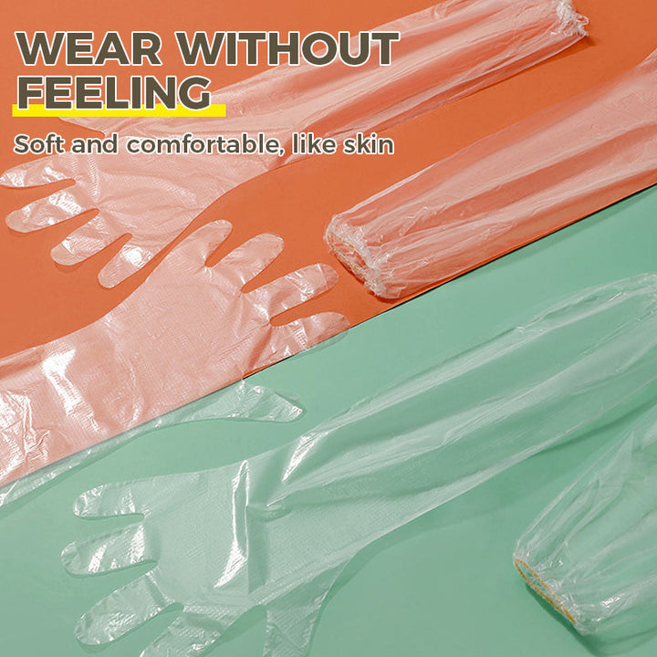 Gants Jetables | Stornfield