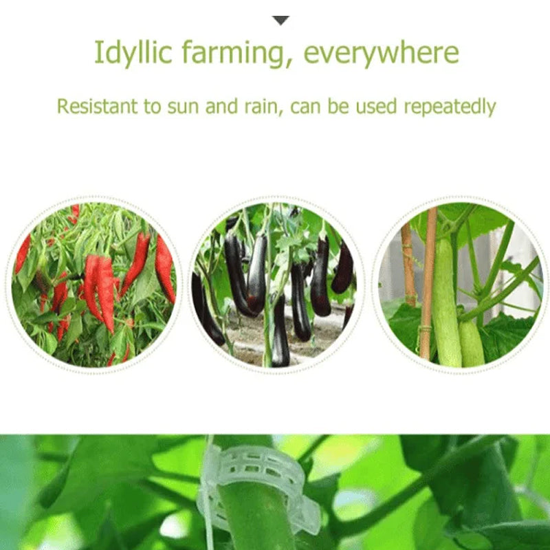 Plant support clips | Stornfield