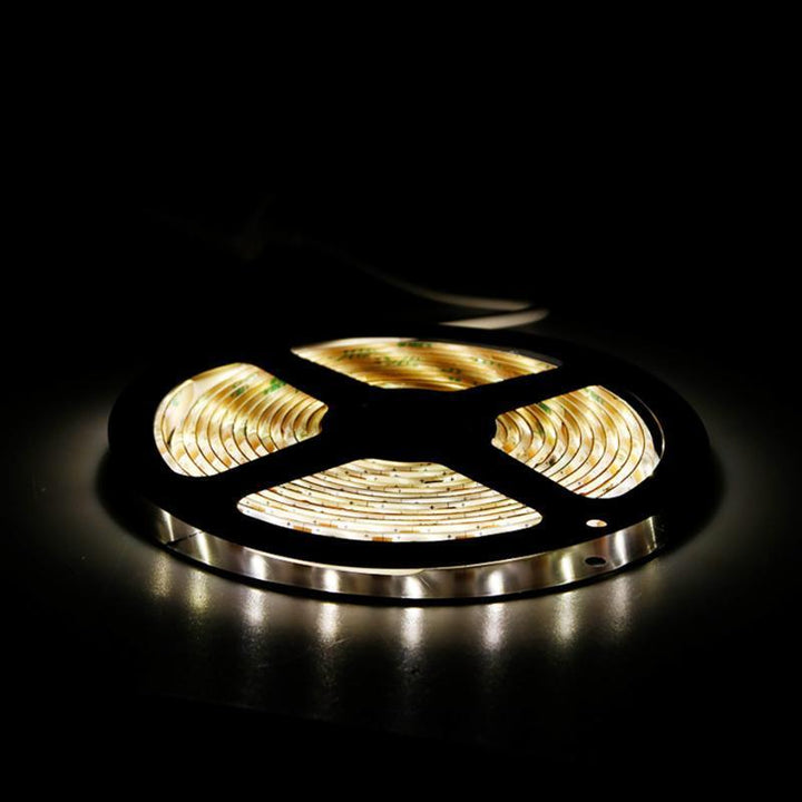LED motion detector waterproof light belt | Stornfield