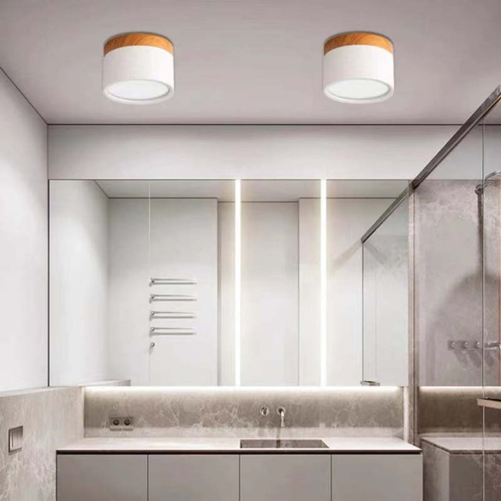 Morandi Style Modern LED Ceiling Lamp - LumiModo | Stornfield