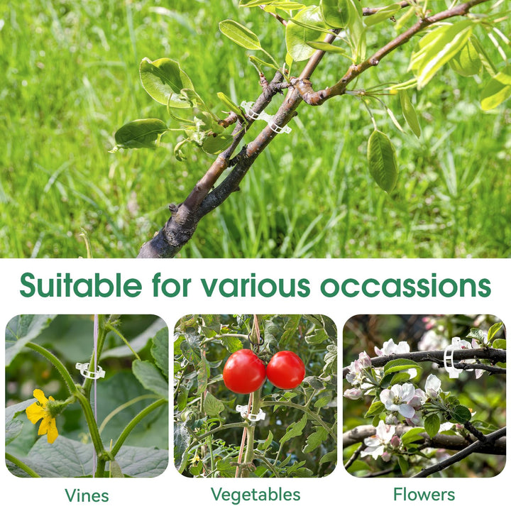 Stornfield | Tomato Clips, Plastic Trellis Clips