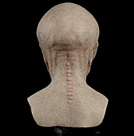 Alien-Mask | Realistic Halloween Costume Accessories | Stornfield