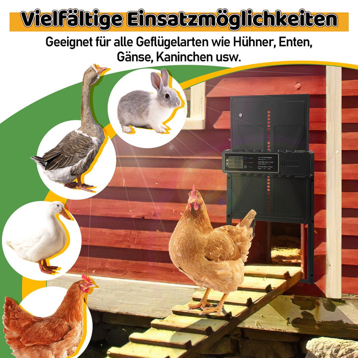 Electric Chicken Coop Door Solar with LED Display and Remote Control | Stornfield