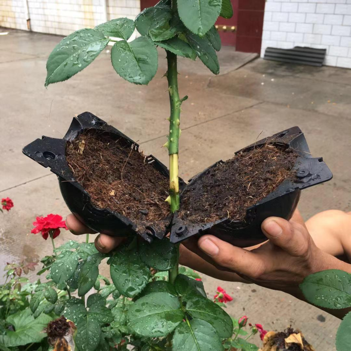 Air Layer Plant Propagation Capsule | Stornfield