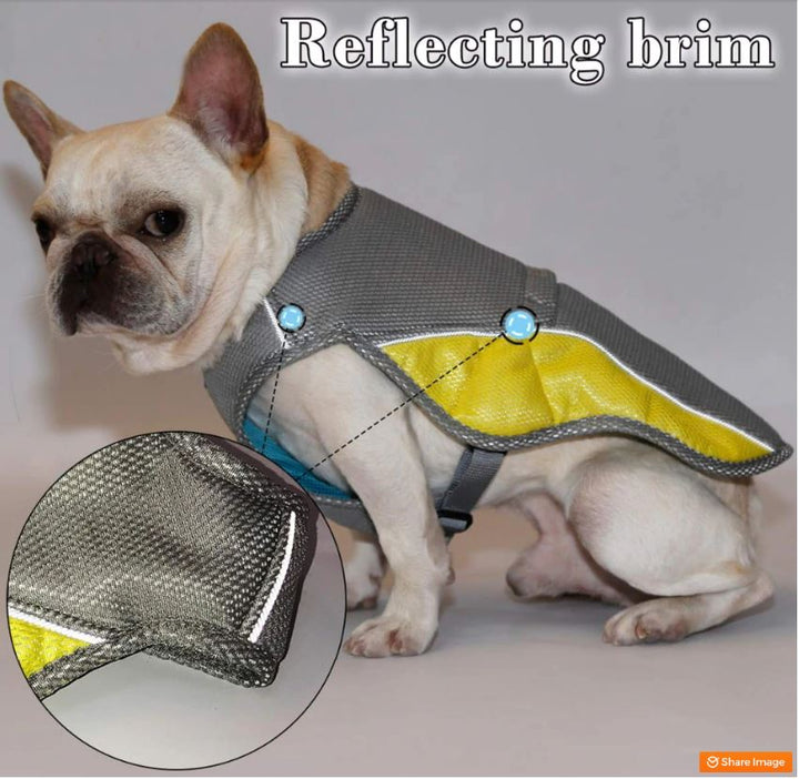 Coolify™ : Cooling Vest for Frenchie (CS13) | Stornfield
