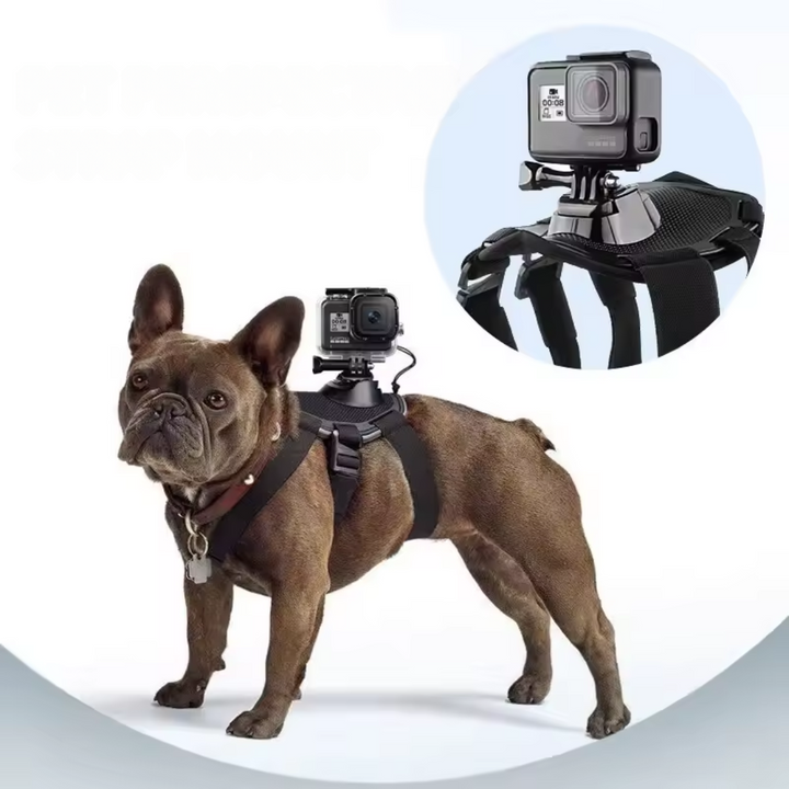 Stornfield 360° Perspective Action Camera Dog Harness