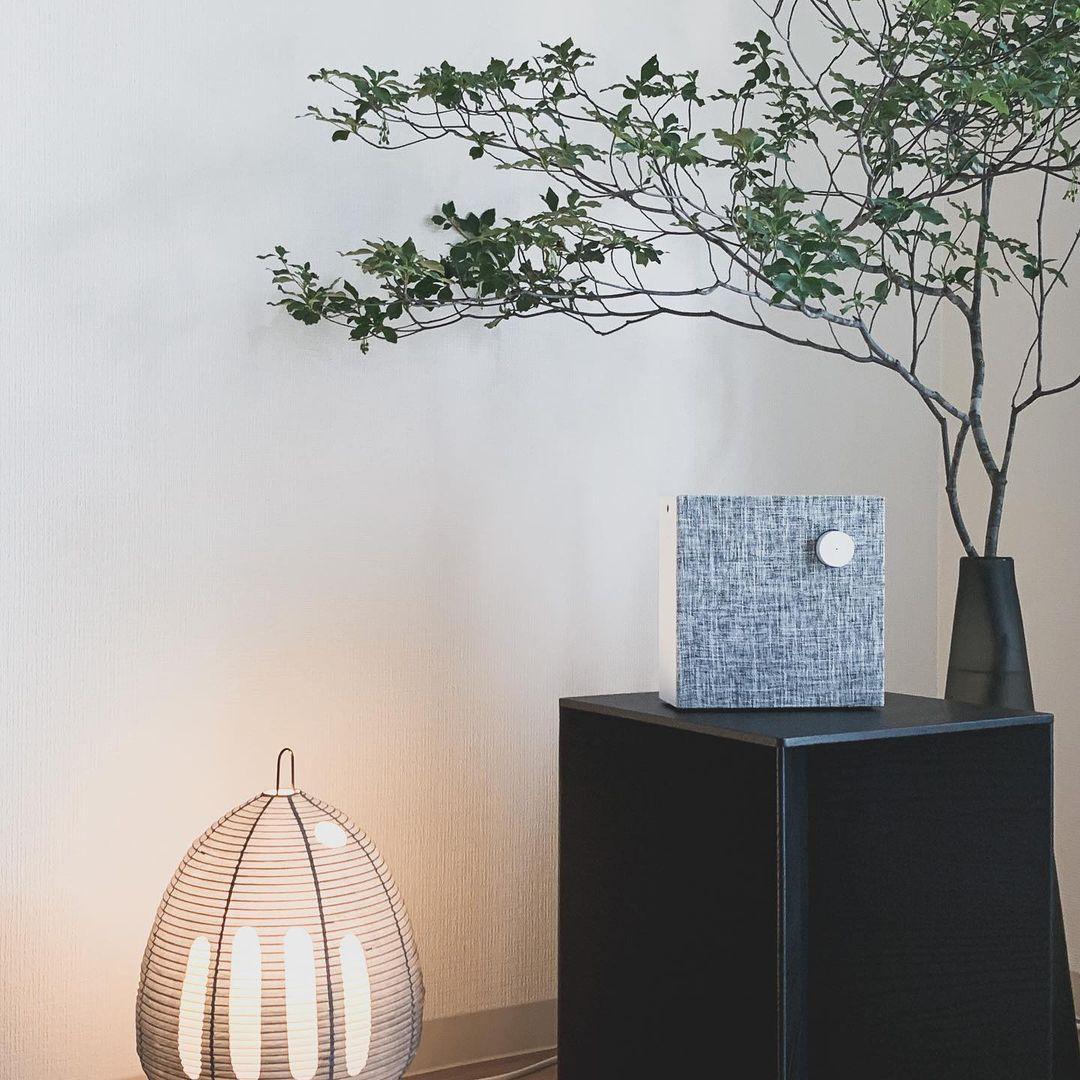 Stornfield | Paper Table Lamp