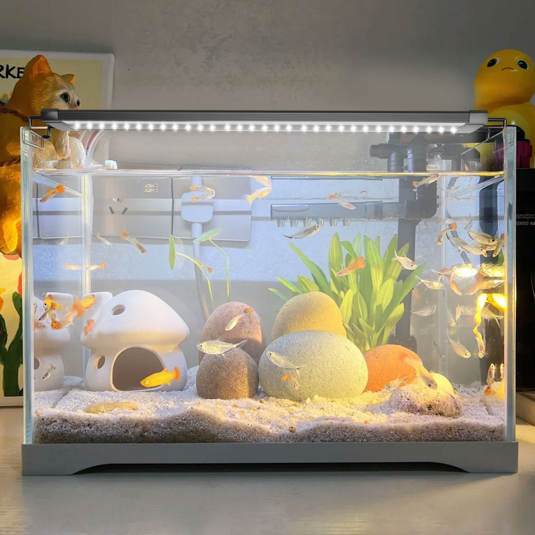 LED Aquarium Lighting 24/7 Mode with Timer | Stornfield