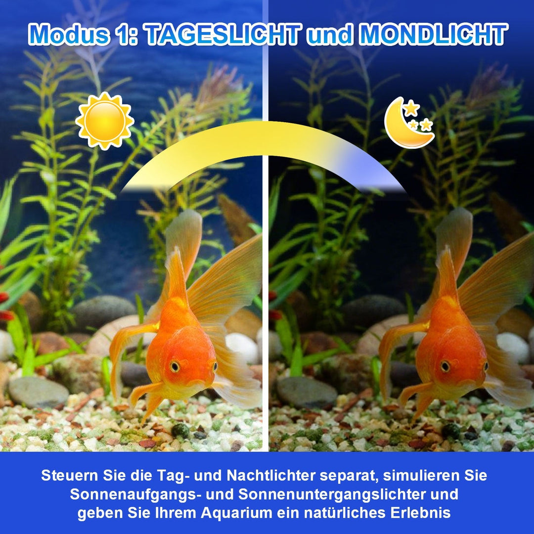 LED Aquarium Lighting 24/7 Mode with Timer | Stornfield