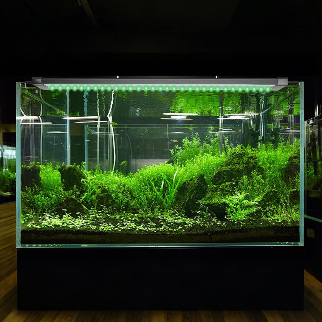 LED Aquarium Lighting 24/7 Mode with Timer | Stornfield