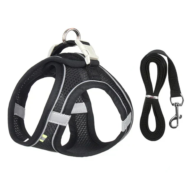 Adventurous Cat Harness with Leash – Adjustable and Reflective | Stornfield