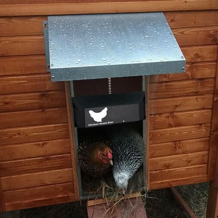 Stornfield | Automatic Chicken Coop Door with Light Sensor & Weather Protection