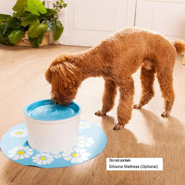 Automatic Pet Water Fountain | Stornfield