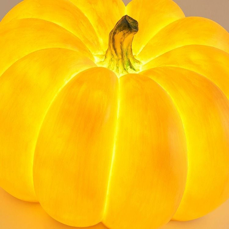 Modern Art Deco Solar Waterproof Pumpkin Round Resin LED Outdoor Light For Garden | Stornfield