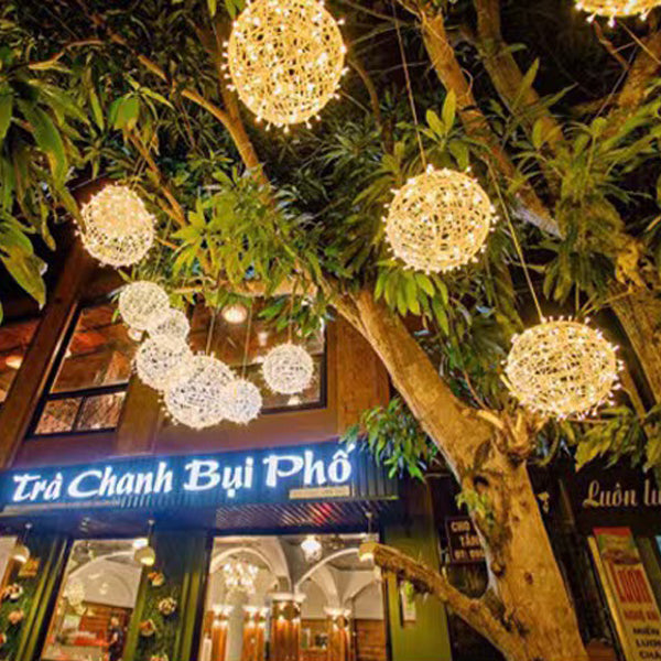 Modern Art Deco Waterproof PVC Hanging Ball Decoration LED Outdoor Pendant Light Outdoor Light For Garden | Stornfield