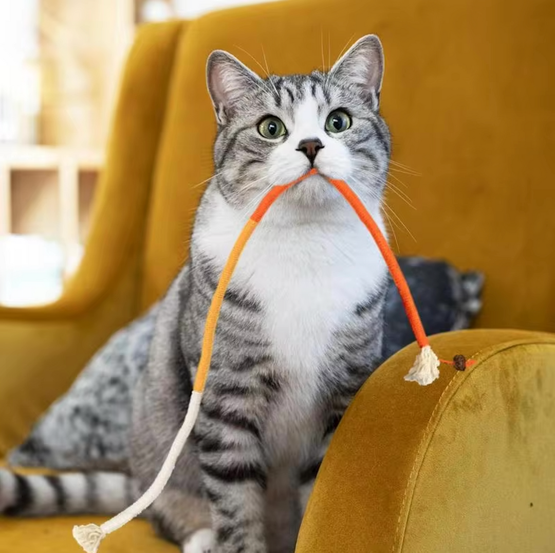 Dental care toy for cats | Stornfield