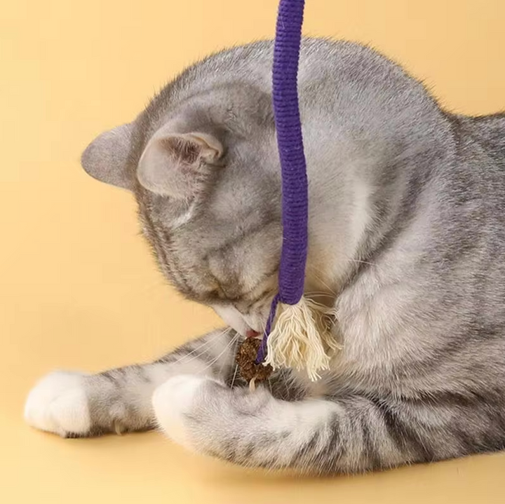 Dental care toy for cats | Stornfield
