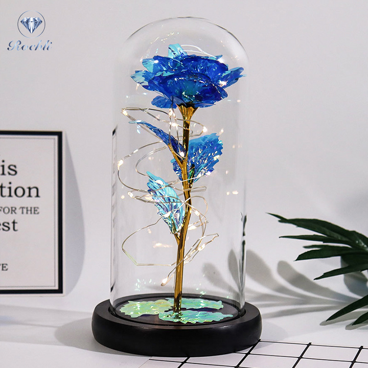 Rose in Glass Dome Display | Stornfield