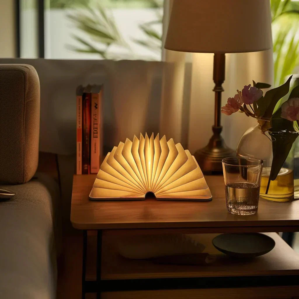 Stornfield | Frendorf Book Light
