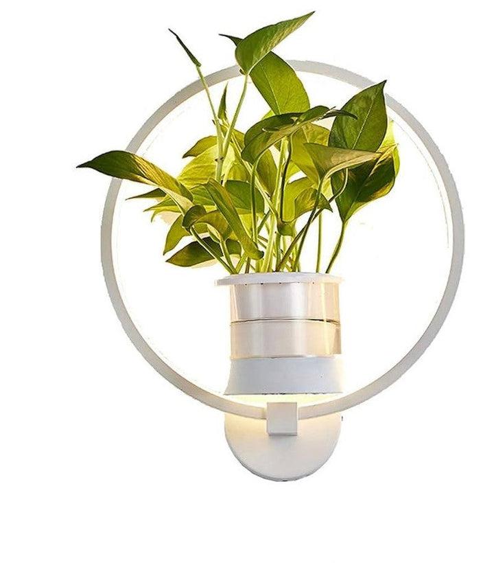 Stornfield | Botanical Wall Lamp - wall lamp with plant for stylish lighting