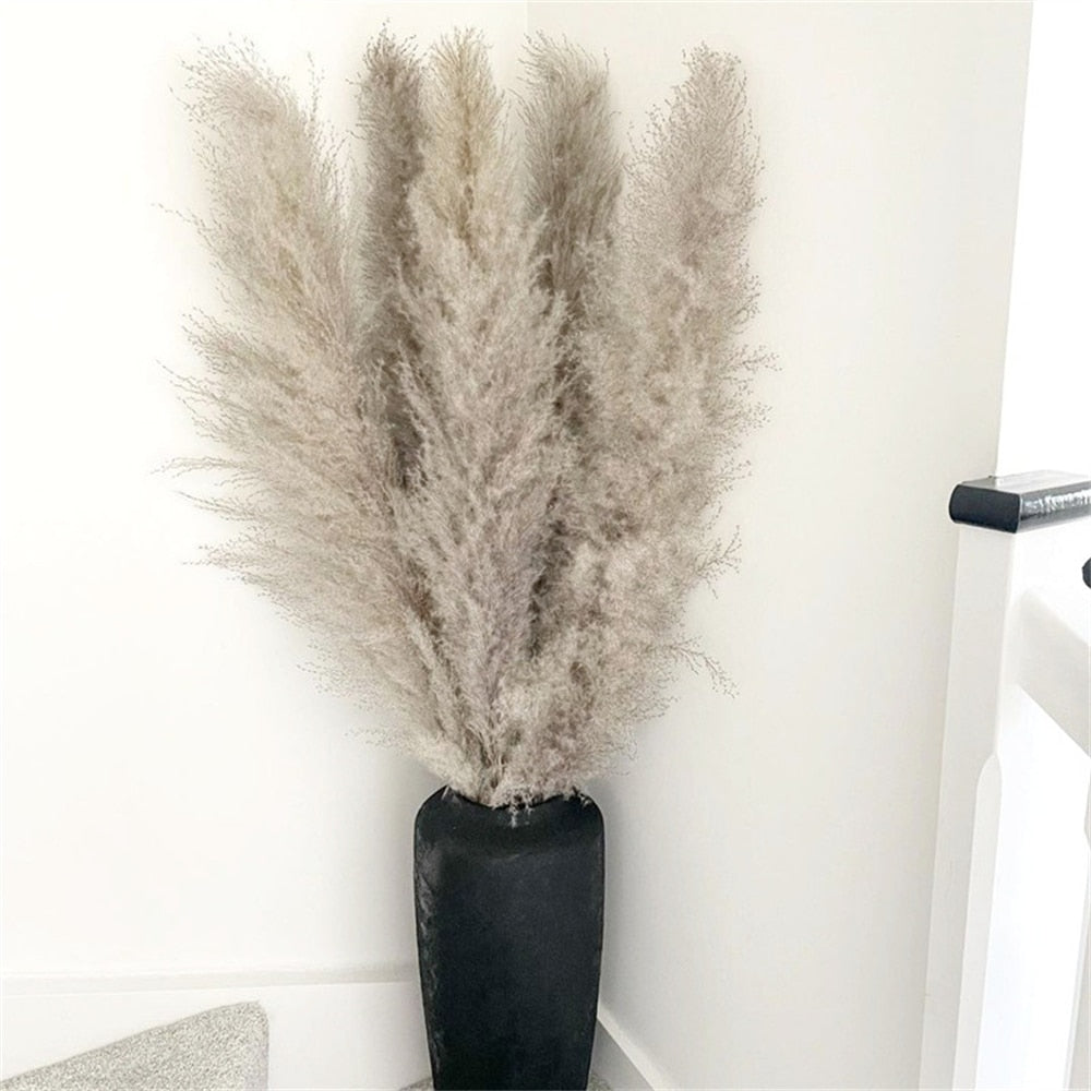 Stornfield | FeatherFawn - Dried Pampas Flowers