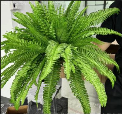 Stornfield | UV Resistant Lifelike Artificial Boston Fern