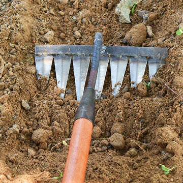 Stornfield | GardenEdge™ Seamless Lawn Trimming