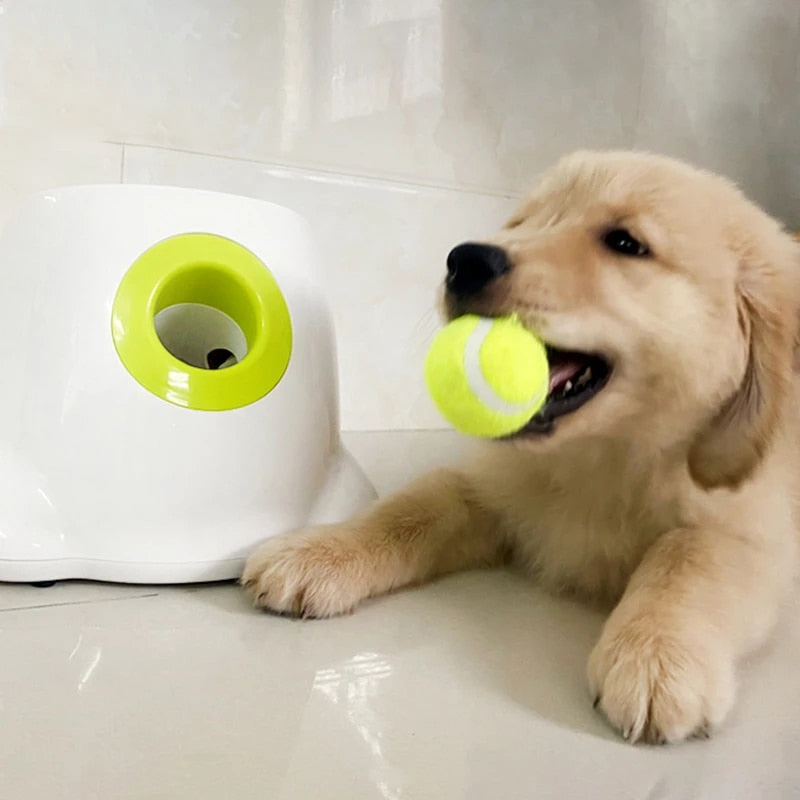 PlayBolt Automatic Ball Launcher for Dogs | Stornfield