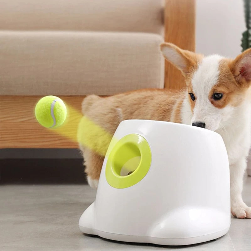 PlayBolt Automatic Ball Launcher for Dogs | Stornfield