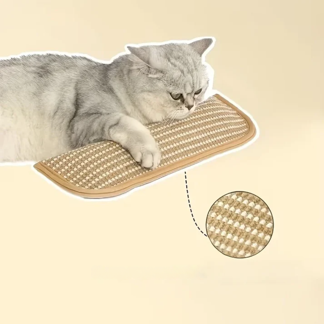 Stornfield durable and sturdy catnip scratching pillow for cats