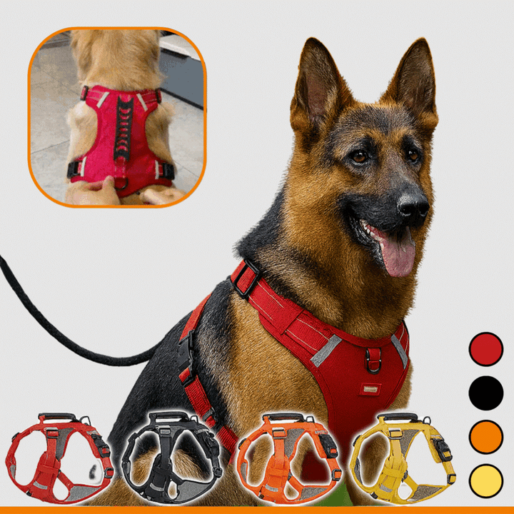 HappyHund Safety Harness Reflective | Stornfield