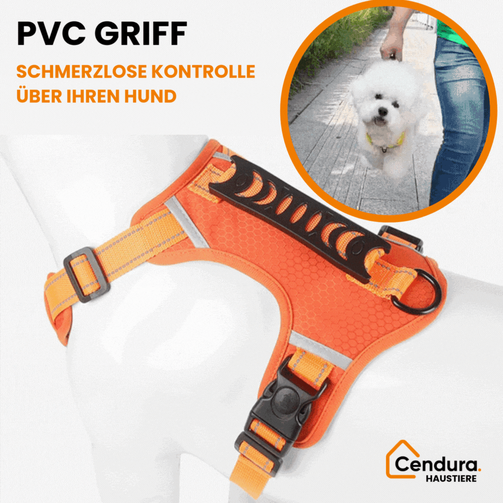 HappyHund Safety Harness Reflective | Stornfield