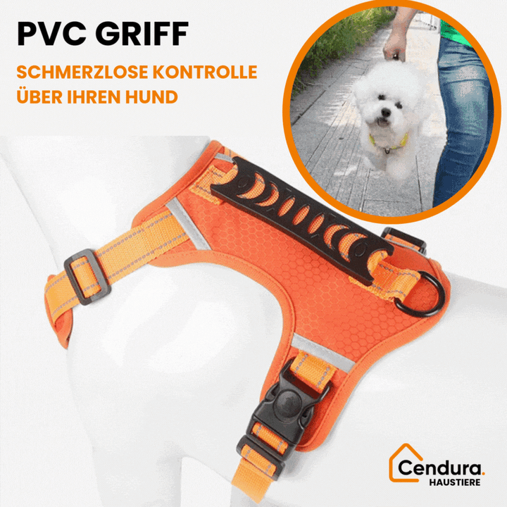 HappyHund Safety Harness Reflective | Stornfield