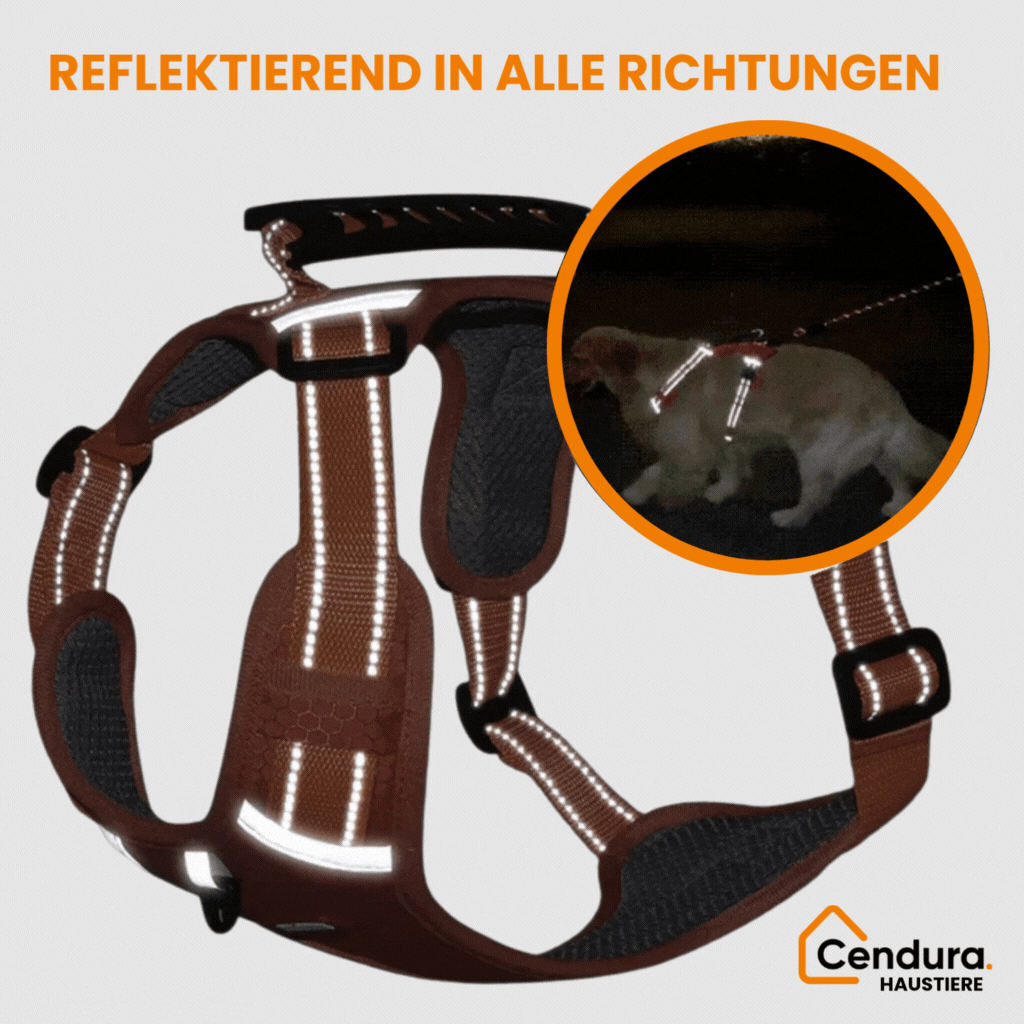 HappyHund Safety Harness Reflective | Stornfield