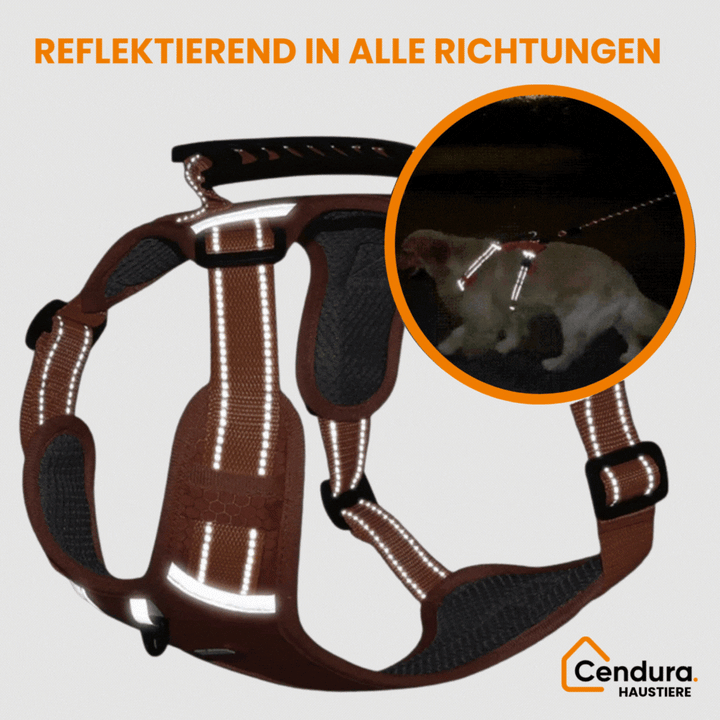 HappyHund Safety Harness Reflective | Stornfield