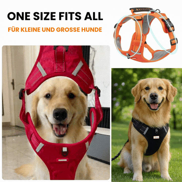 HappyHund Safety Harness Reflective | Stornfield