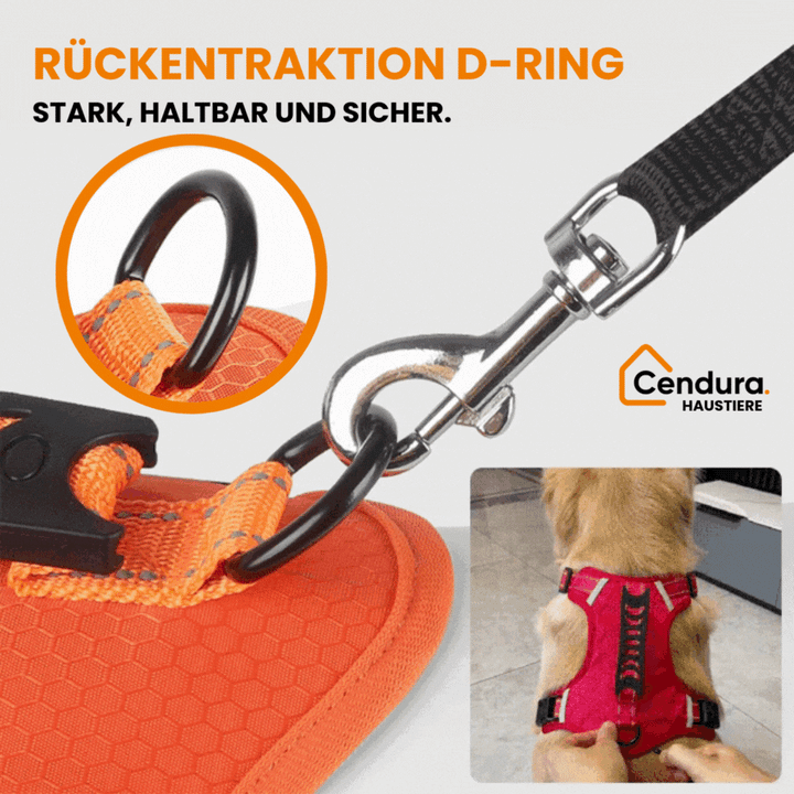 HappyHund Safety Harness Reflective | Stornfield