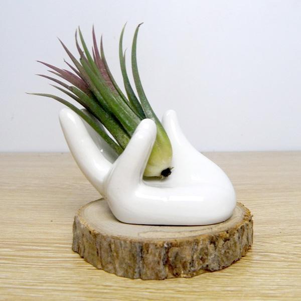 Ceramic Hand Shaped Air Plant Egg Jewelry Holder | Stornfield