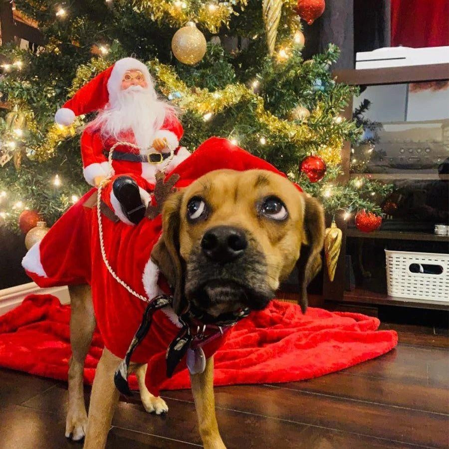 Christmas Santa Dog Costume | Stornfield