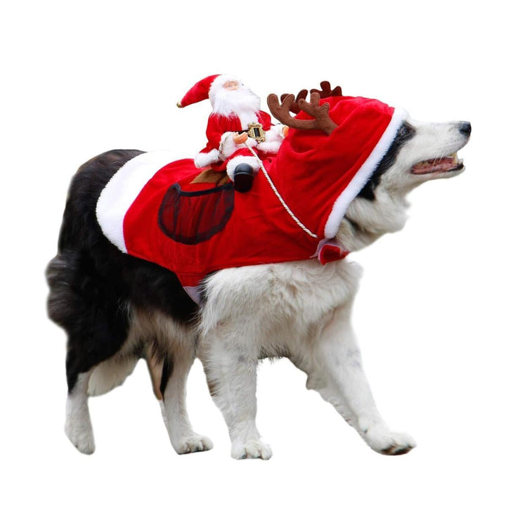 Christmas Santa Dog Costume | Stornfield
