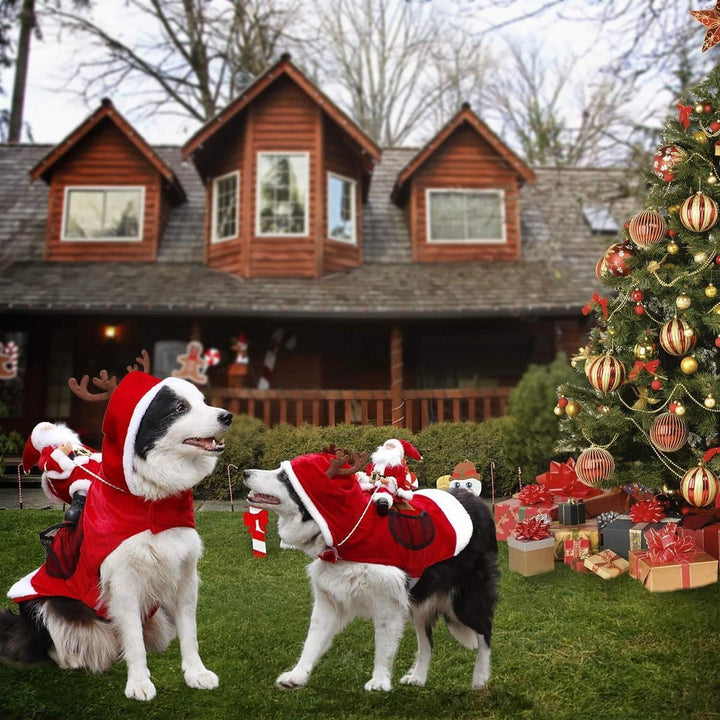 Christmas Santa Dog Costume | Stornfield