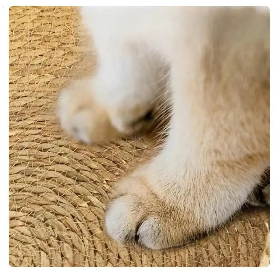 Stornfield | Cozypets – Super Soft & Cozy Cat Bed