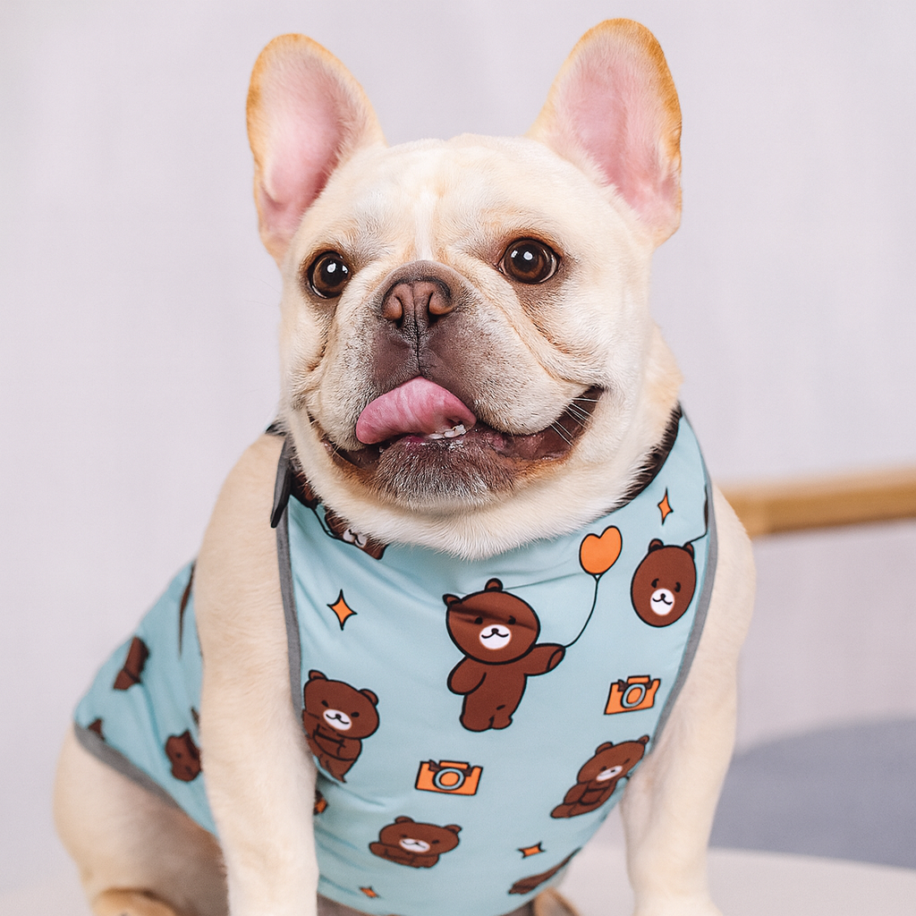 CooLie Frenchie Cooling Vest – Summer Belly Protection Comfort | Stornfield