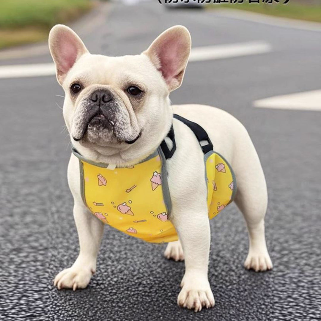 CooLie Frenchie Cooling Vest – Summer Belly Protection Comfort | Stornfield