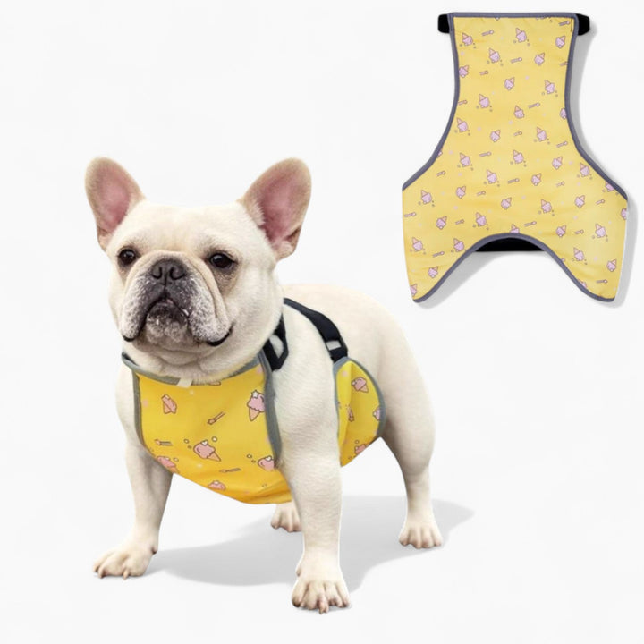 CooLie Frenchie Cooling Vest – Summer Belly Protection Comfort | Stornfield