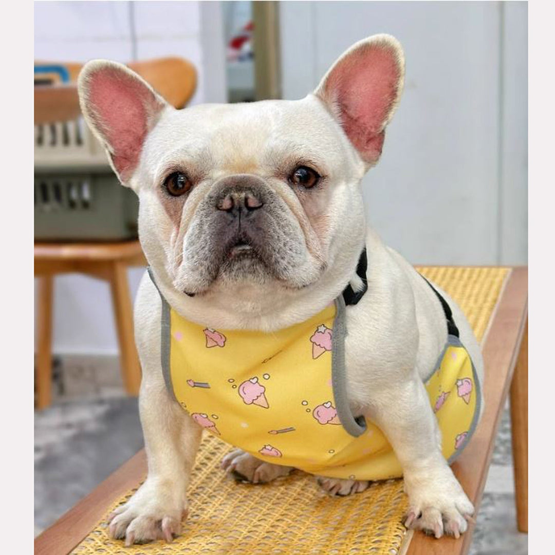CooLie Frenchie Cooling Vest – Summer Belly Protection Comfort | Stornfield