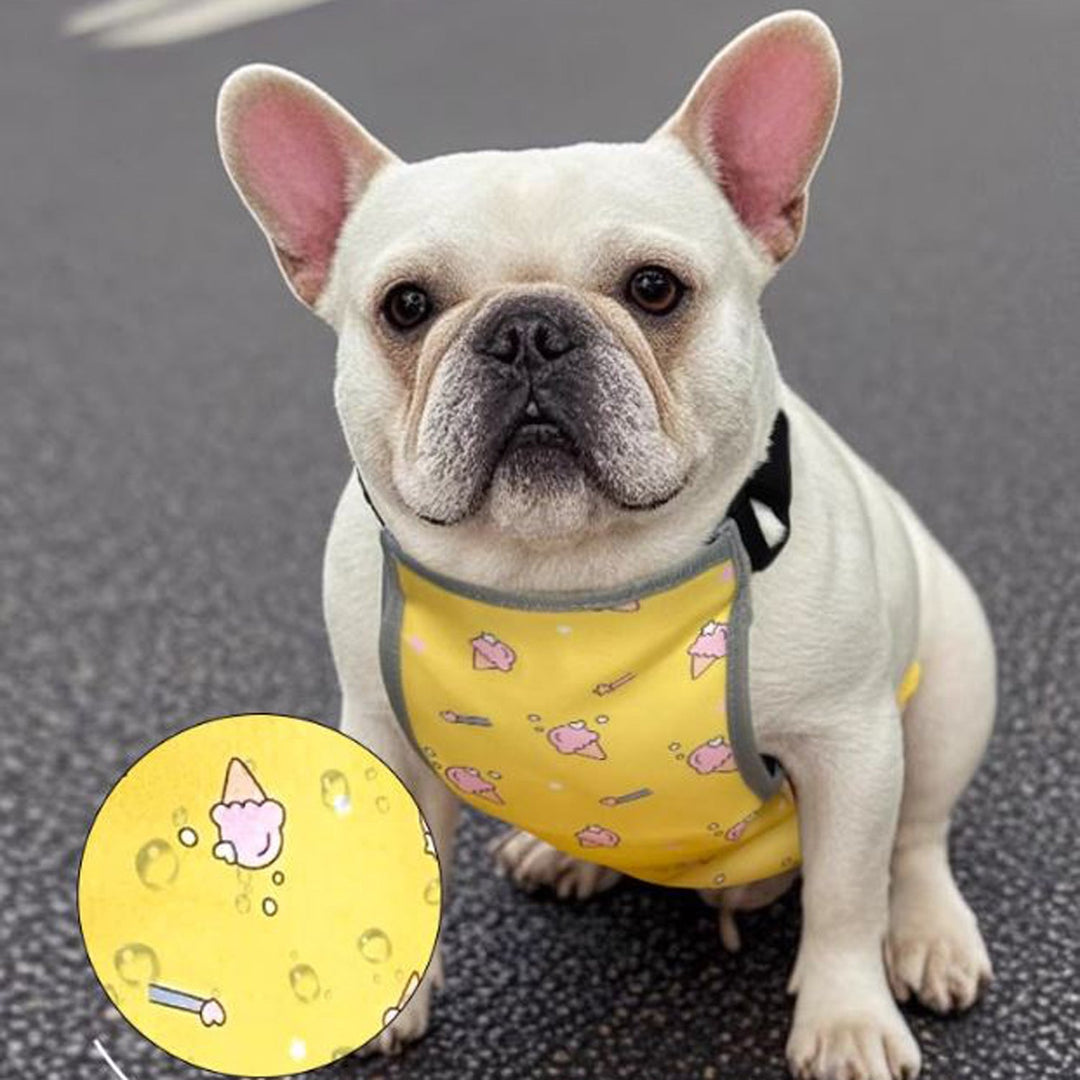 CooLie Frenchie Cooling Vest – Summer Belly Protection Comfort | Stornfield