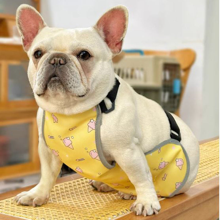 CooLie Frenchie Cooling Vest – Summer Belly Protection Comfort | Stornfield