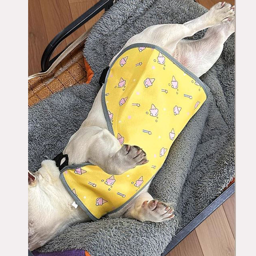 CooLie Frenchie Cooling Vest – Summer Belly Protection Comfort | Stornfield