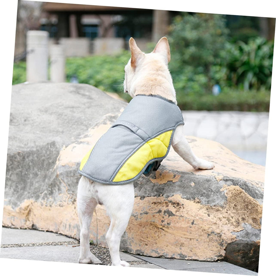 Coolify™ : Cooling Vest for Frenchie (CS13) | Stornfield